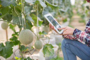How is digital technology revolutionizing agri-food systems?