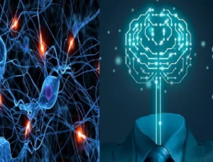 Top three technologies of AI